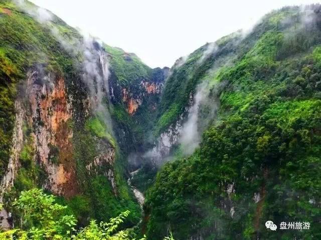 虫虫助手下载